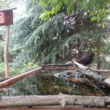 photo 2023-06-27 09-20-32