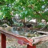 photo 2022-05-10 18-17-02