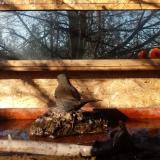 photo 2022-02-03 09-47-50