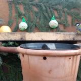 photo 2023-12-30 08-50-18