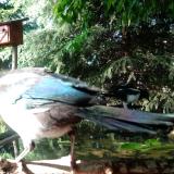 photo 2023-05-21 17-16-48