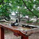 photo 2022-05-30 12-42-15