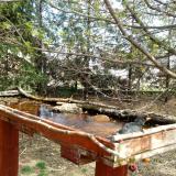 photo 2022-04-06 12-39-43