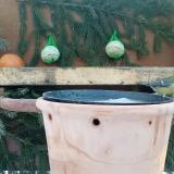 photo 2024-01-21 08-09-17