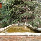 photo 2023-03-22 10-30-04