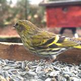 406294747 1348415285786320 8206000125720594769 n