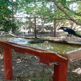 photo 2022-07-25 10-48-05