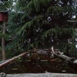 photo 2023-03-30 19-00-01