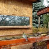 photo 2022-11-20 10-24-14