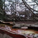 photo 2022-02-17 17-08-48