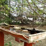 photo 2022-04-08 12-37-52