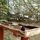 photo 2022-04-08 12-38-35