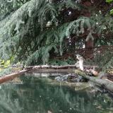 photo 2023-08-05 13-42-00