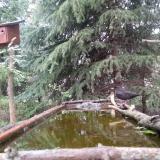 photo 2023-04-08 07-51-28