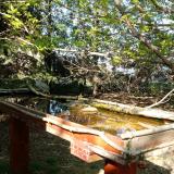 photo 2022-04-12 16-35-08