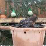 photo 2024-01-24 09-12-38