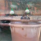 photo 2024-01-26 08-42-50