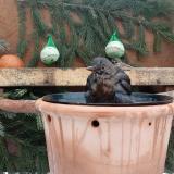 photo 2024-01-24 09-13-19