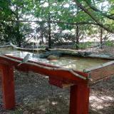 photo 2022-07-14 11-05-41