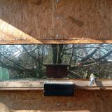 photo 2023-02-06 11-59-27