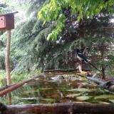 photo 2023-05-18 13-04-15