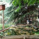 photo 2023-05-23 13-11-12