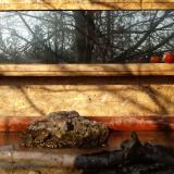 photo 2022-02-13 09-36-45