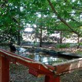 photo 2022-06-03 10-56-17