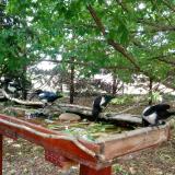 photo 2022-05-23 12-34-56