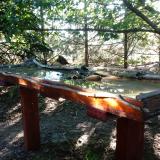 photo 2022-07-12 06-58-22