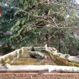 photo 2023-03-13 08-04-08