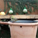 photo 2024-01-09 10-06-47