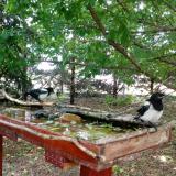 photo 2022-05-23 12-46-43