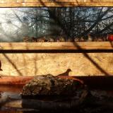 photo 2022-02-04 08-52-01