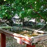 photo 2022-05-12 16-24-15