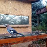 photo 2022-10-26 07-58-48