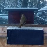 photo 2022-12-12 07-52-01