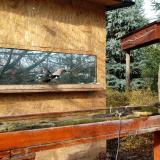 photo 2022-11-20 10-29-42