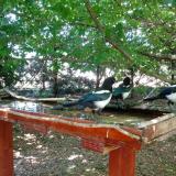 photo 2022-06-03 13-34-05