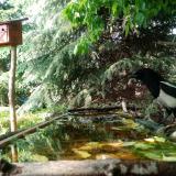 photo 2023-05-17 17-01-30