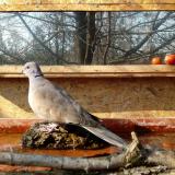 photo 2022-02-14 11-58-50