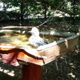 photo 2022-07-27 15-21-55 szajko