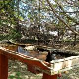 photo 2022-04-06 12-36-26