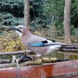 photo 2022-11-28 11-14-09