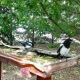 photo 2022-05-23 15-07-54