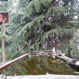 photo 2023-04-03 18-19-17