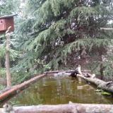 photo 2023-04-08 07-51-48