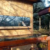 photo 2022-11-19 08-56-01