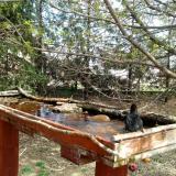 photo 2022-04-06 12-40-05