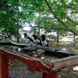 photo 2022-06-02 09-32-55